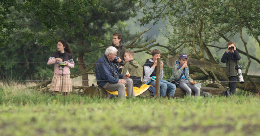 Met de Boomvalk naar De Kampina op 1 juni 2024